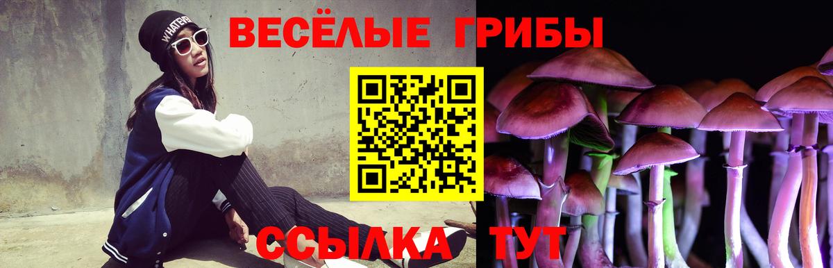 Галлюциногенные грибы GOLDEN TEACHER  Вход с VPN  Новочеркасск  Галлюциногенные грибы Cubensis 